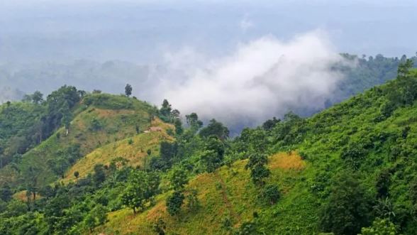 টেকনাফে ১৯ বনকর্মী ও শ্রমিক অপহরণ, কারণ অজানা