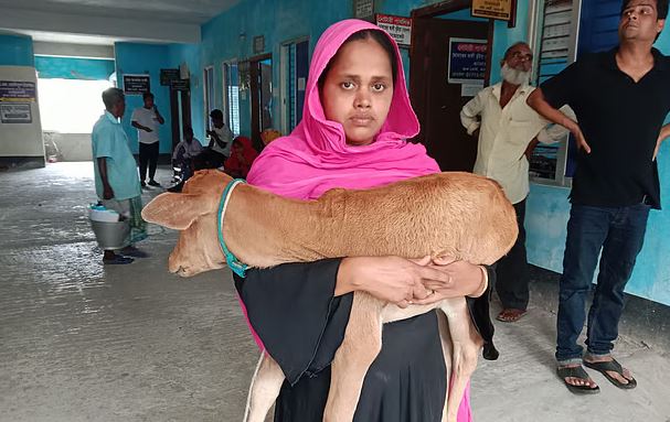 ‘চাঁদার’ টাকা না পেয়ে গরু নিয়ে যাওয়ার অভিযোগ স্বেচ্ছাসেবক দলের কর্মীর বিরুদ্ধে