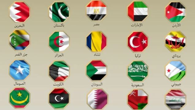 ইরানে ইসরায়েলের হামলার নিন্দা জানাল ২১ মুসলিম দেশ