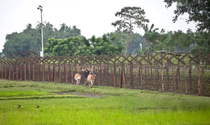 দিনাজপুর সীমান্তে দুই বাংলাদেশি কৃষককে ধরে নিয়ে গেল বিএসএফ, দুই ভারতীয় আটক