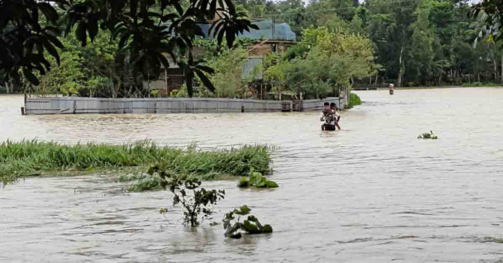 মৌলভীবাজারে মনু-ধলাই নদীর বাঁধ ভাঙন, পানিবন্দি হাজারো মানুষ