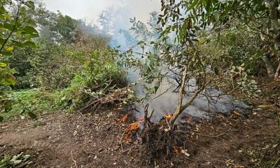 সুন্দরবনে আগুনের প্রকোপ কমছে, নিয়ন্ত্রণে আনতে পেতে হচ্ছে বেগ