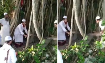 ‘বিদআত’ আখ্যা দিয়ে কেটে ফেলা হলো ২০০ বছর পুরোনো বটগাছ