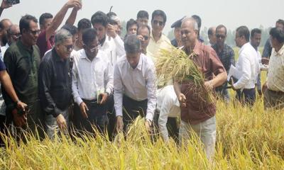 ভয়ের কোনো কারণ নেই, আমাদের সীমান্ত সম্পূর্ণ নিরাপদ: স্বরাষ্ট্র উপদেষ্টা