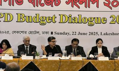 গায়েবি মামলার সংস্কৃতি ব্যবসায় পরিবেশকে গভীর অনিশ্চয়তায় ফেলেছে: হোসেন জিল্লুর রহমান