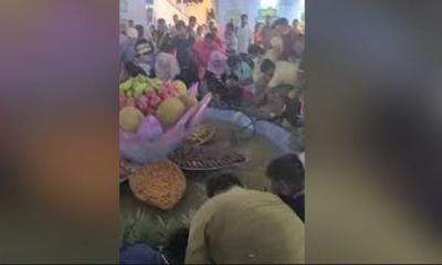 এবার লুটপাট হল ফল, জাতীয় ফল মেলায় শেষ দিনে বিশৃঙ্খলা