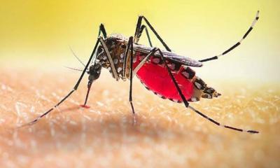 ডেঙ্গুতে আরও ২ মৃত্যু, হাসপাতালে ভর্তি ৩২৬