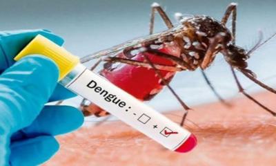 ডেঙ্গুতে ২৪ ঘণ্টায় আরও ২ মৃত্যু, হাসপাতালে ভর্তি ৩৩৭ রোগী