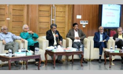 ১০ বিষয়ে ঐকমত্য, সনদের প্রাথমিক খসড়া তৈরি: আলী রীয়াজ