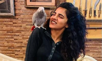 ভালুকের হামলায় আহত পাকিস্তানের জনপ্রিয় গায়িকা