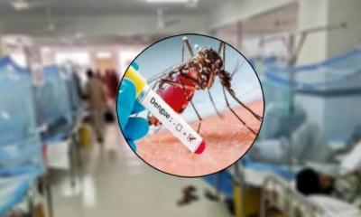 ডেঙ্গু রোগীর চিকিৎসায় ১২ দফা জরুরি নির্দেশনা