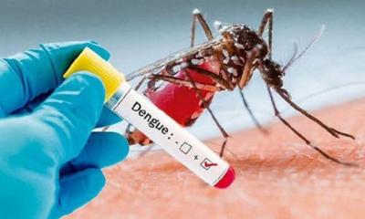 ডেঙ্গুতে চব্বিশ ঘণ্টায় ৫ জনের মৃত্যু, হাসপাতালে ৬২২