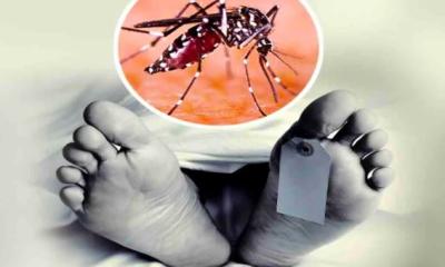 ডেঙ্গুতে চব্বিশ ঘণ্টায় সর্বোচ্চ ১২ জনের মৃত্যু, হাসপাতালে ভর্তি ৭৪০