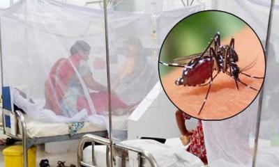ডেঙ্গুতে একদিনে আরো ৫ জনের মৃত্যু, হাসপাতালে ভর্তি ৬৬৮ রোগী