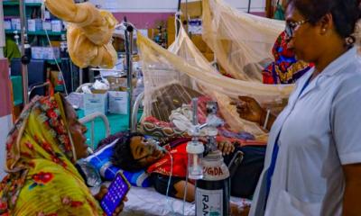 ডেঙ্গুতে এ বছর হাসপাতালে ভর্তি ৪৪ হাজার ছাড়াল, মোট মৃত্যু ১৮৮