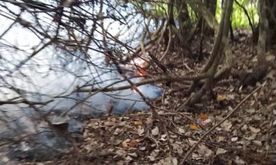 সুন্দরবনে নতুন এলাকায় আগুন