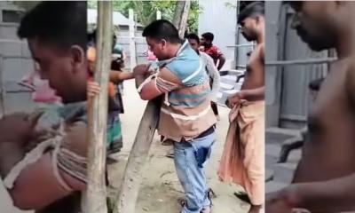 সুদের টাকা পরিশোধ না করায় ব্যবসায়ীকে গাছে বেঁধে নির্যাতনের অভিযোগ