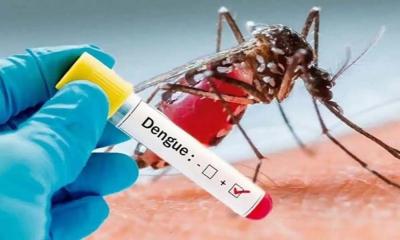 ডেঙ্গুতে আরও ২ জনের মৃত্যু, হাসপাতালে ভর্তি ৪২৩