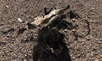 মার্কিন ‍যুদ্ধবিমানের ধ্বংসাবশেষের ছবি প্রকাশ ইরানি গণমাধ্যমে