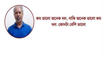 কম ভালো অনেক দল, নাকি অনেক ভালো কম দল: কোনটা বেশি ভালো