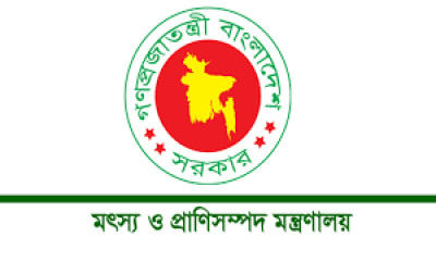 ভারত থেকে গরু আমদানির ‘অনুমতিপত্র’ ভুয়া : প্রাণিসম্পদ মন্ত্রণালয়