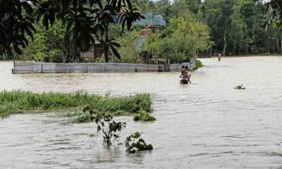 মৌলভীবাজারে মনু-ধলাই নদীর বাঁধ ভাঙন, পানিবন্দি হাজারো মানুষ