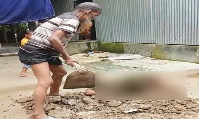 শেরপুরে অসুস্থ স্ত্রীকে জীবিত কবর দেওয়ার চেষ্টা, ভিডিও ভাইরাল