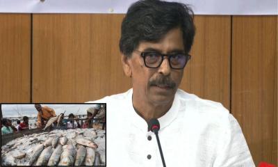 ভারতে ইলিশ পাঠানোর বিষয়ে সিদ্ধান্ত নেবেন প্রধানমন্ত্রী