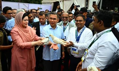 চিকিৎসক সমাবেশের উদ্বোধন করলেন প্রধানমন্ত্রী