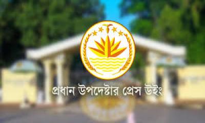 অন্তর্বর্তীকালীন সরকারের বিবৃতি