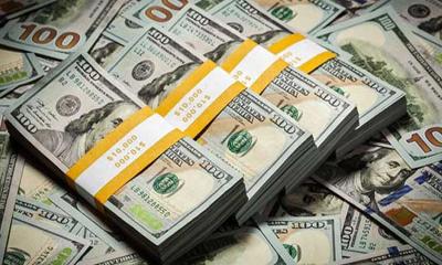 নভেম্বরের ২২ দিনে রেমিট্যান্স এলো ২১৩ কোটি ৫০ লাখ ডলার