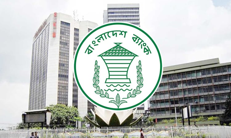 কৃষি ও গ্রামীণ কর্মসংস্থান বাড়াতে ১০ হাজার কোটি টাকার পুনঃঅর্থায়ন স্কিম চালু করল বাংলাদেশ ব্যাংক