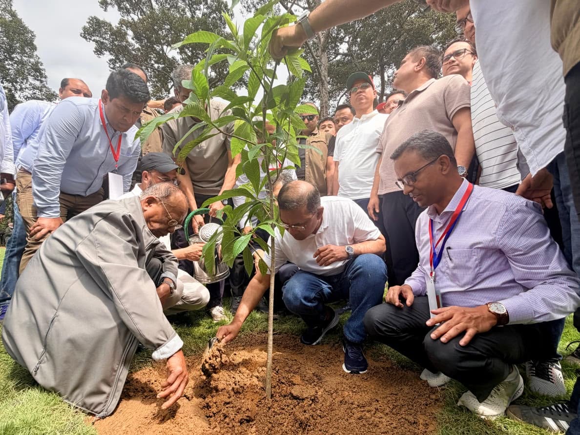 দেশব্যাপী ২৫ কোটি বৃক্ষরোপণ কর্মসূচির উদ্বোধন করলেন প্রধানমন্ত্রী