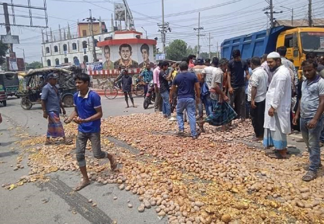 ন্যায্যমূল্যের দাবিতে রাস্তায় আলু ফেলে রংপুরে কৃষকদের প্রতিবাদ