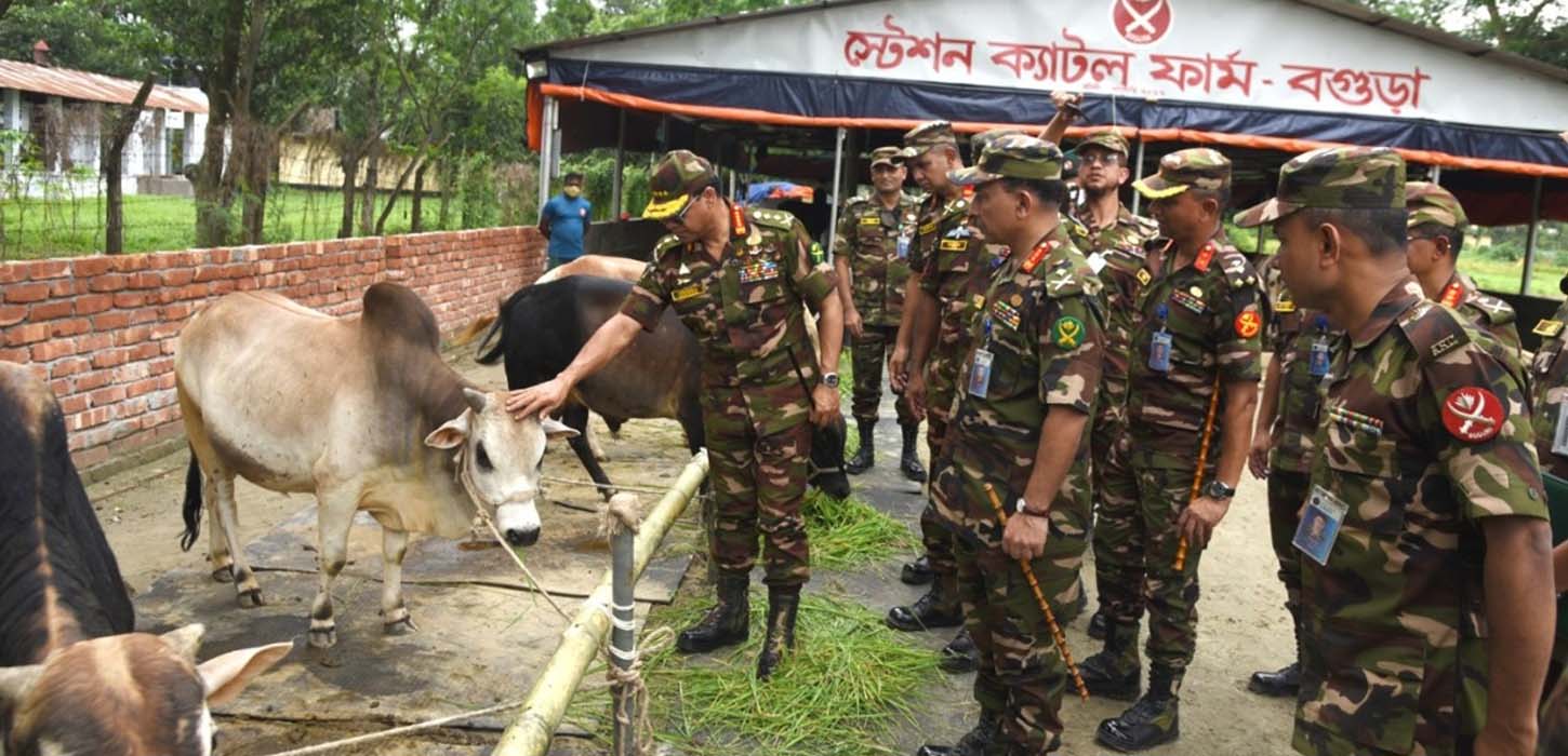 বগুড়ায় কৃষিপণ্য উৎপাদন প্রতিযোগিতা পরিদর্শন করলেন সেনাপ্রধান