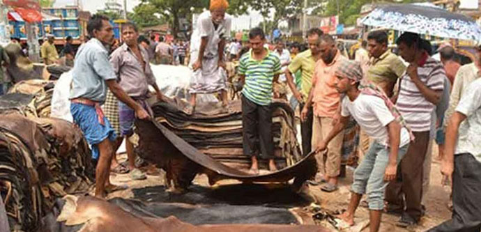 পশুর চামড়ার দাম নির্ধারণ: গরুর চামড়া প্রতি বর্গফুট ৪০-৪৫ টাকা