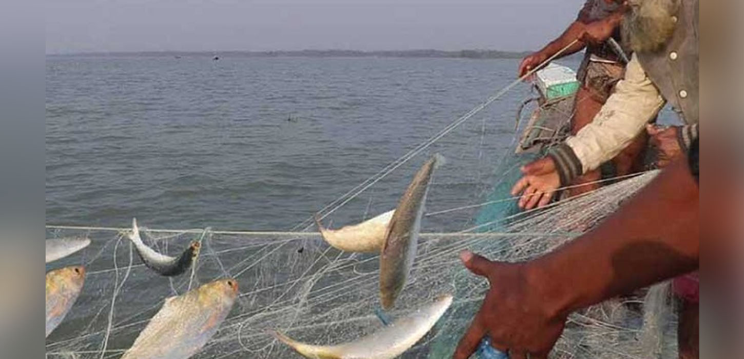 ইলিশ ধরা নিয়ে জেলেদের হাহাকার শেষ মধ্যরাতে