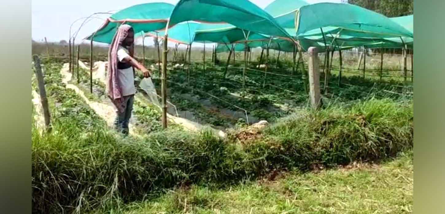 প্রেমিকের সঙ্গে পালাতে পারলো না, প্রাণই গেল কিশোরীর