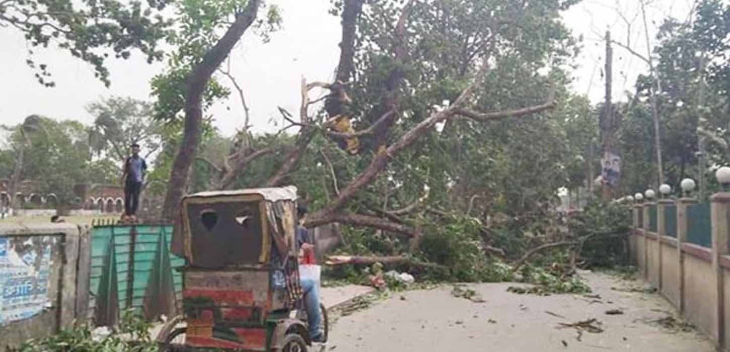 বৈশাখী ঝড় ও বজ্রপাতে দুই জেলায় ৮ জনের মৃত্যু