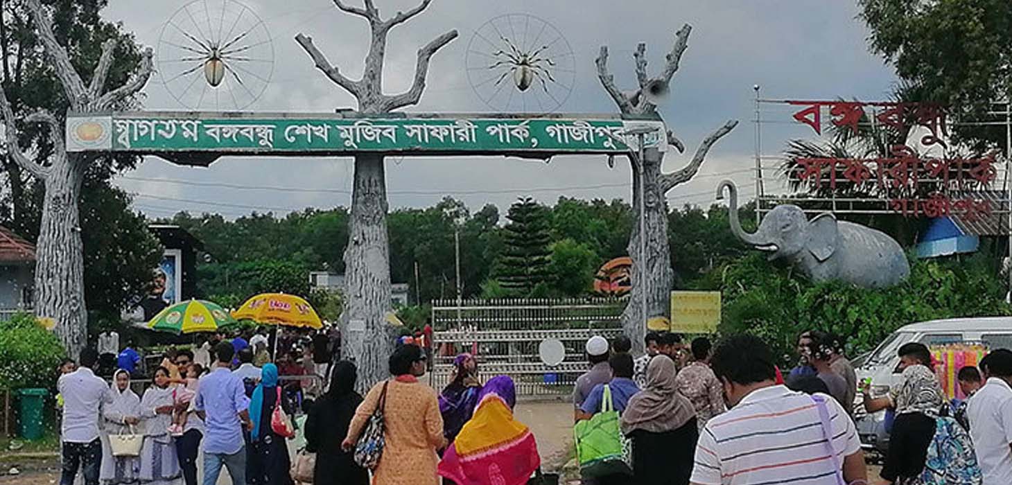 সাফারি পার্কে বাঘের থাবায় কর্মচারী আহত