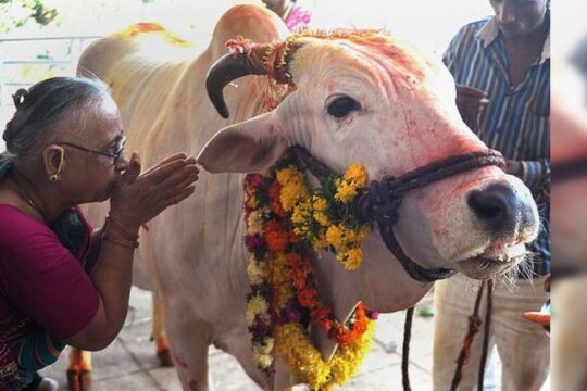 আসামে গোমাংস বিক্রি নিষেধাজ্ঞায় বিল পাশ