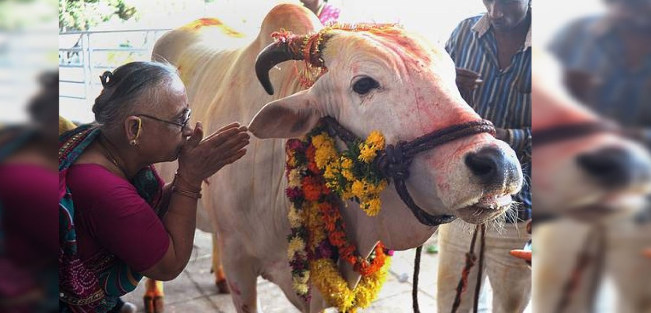 আসামে গোমাংস বিক্রি নিষেধাজ্ঞায় বিল পাশ