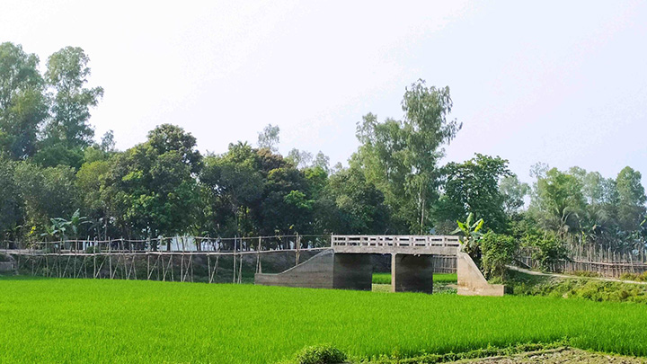 Bridge Gopalpur