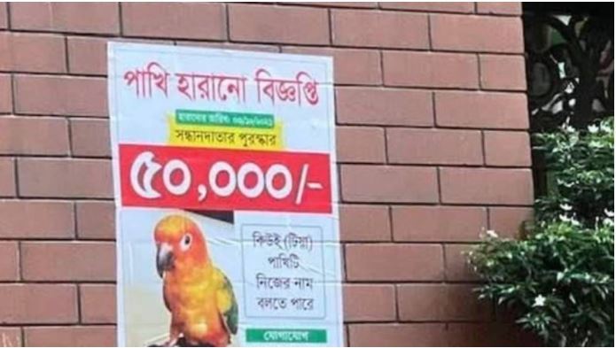 এক টিয়ার সন্ধান দিলে ৫০ হাজার টাকা পুরস্কার!