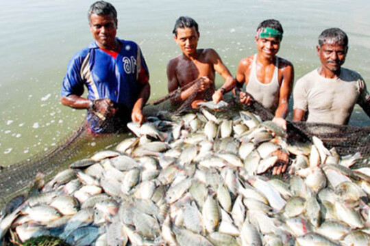 পুকুর খনন ছাড়াই চলছে মাছ চাষ প্রকল্প