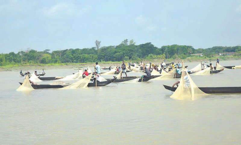 প্রজনন মৌসুমেও হালদা নদীতে ডিম ছাড়েনি মা মাছ; কারণ তীব্র দাবদাহ