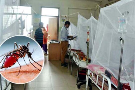 একদিনে আরও ২৭৫ ডেঙ্গু রোগী হাসপাতালে ভর্তি