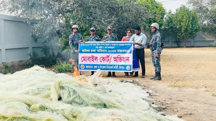 জাটকা ধরার অপরাধে চাঁদপুরে ৩৩ জেলে আটক