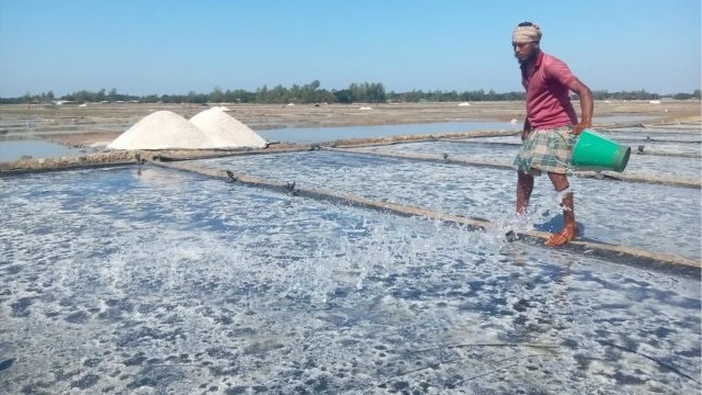 ৬২ বছরে দেশে লবণ উৎপাদনে নতুন রেকর্ড; ডাইং কারখানার জন্য সুখবর