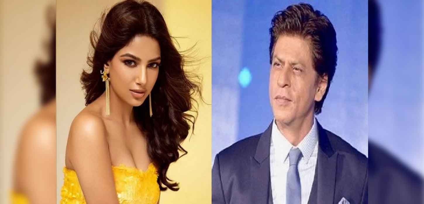 শাহরুখের সঙ্গে জুঁটি বাঁধতে চান হারনাজ